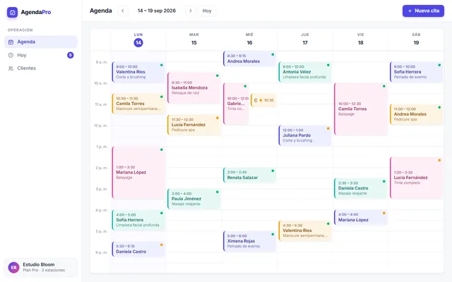 Preview of the AgendaPro design